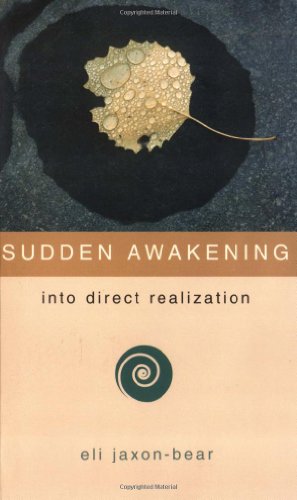Sudden Awakening Cover
