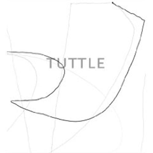 The Art of Richard Tuttle Cover
