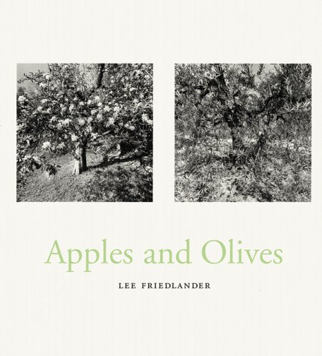 Lee Friedlander Cover