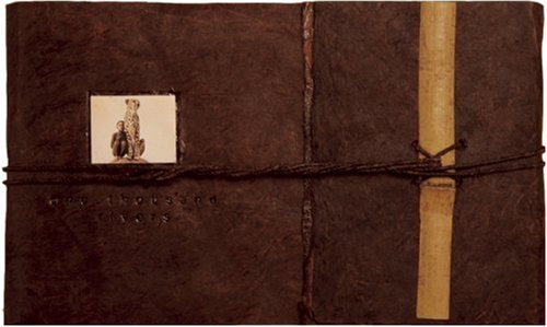 Ashes and snow Cover