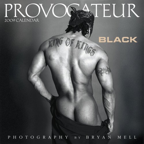 Attempted cover for Book ID: 193452560X