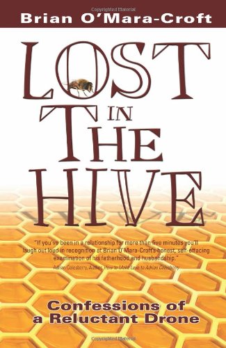 Lost in the hive Cover