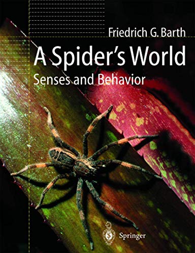 A Spider's World Cover
