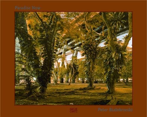 Paradise now Cover