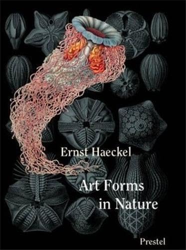 Art Forms in Nature Mini (Prestel Minis) Cover