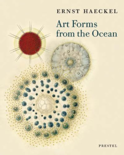 Art forms from the ocean Cover