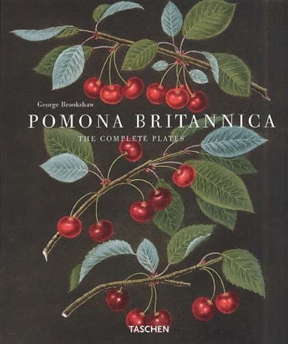 Attempted cover for Book ID: 3822814636