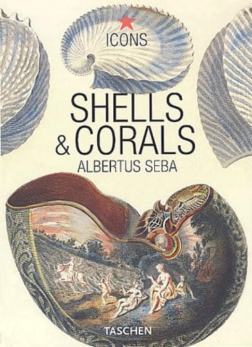Shells & corals = Cover
