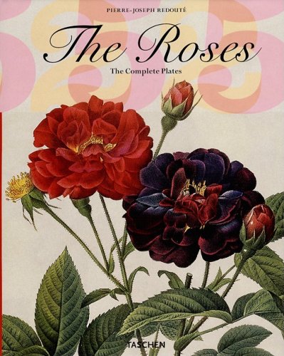 The Roses Cover