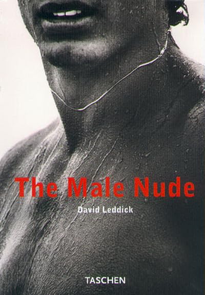 The Male Nude (Klotz) Cover
