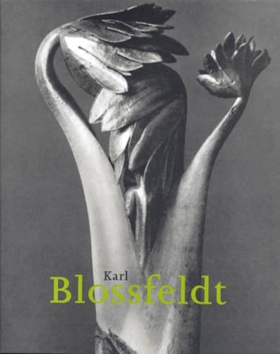 Karl Blossfeldt, 1865-1932 Cover
