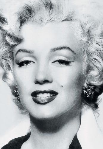 Marilyn Monroe and the Camera Cover
