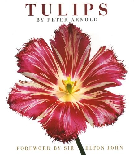 Tulips Cover