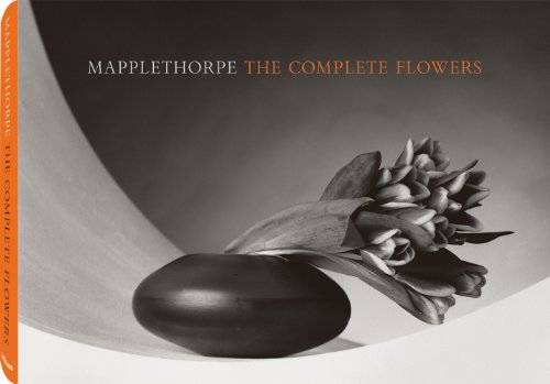 Mapplethorpe Cover