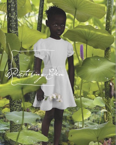 Picturing Eden Cover