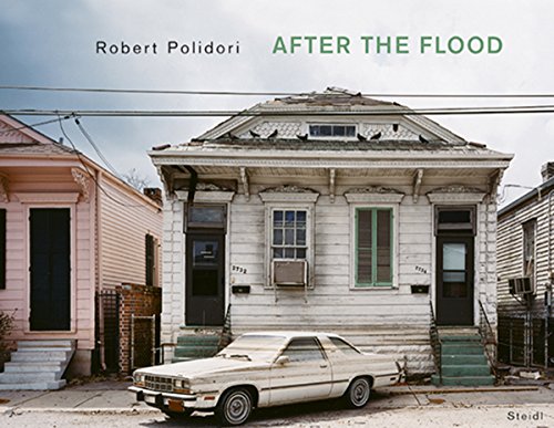 After the flood Cover