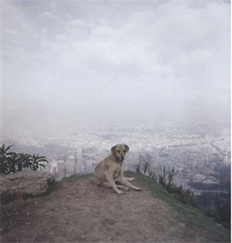 Dog days Bogotá Cover
