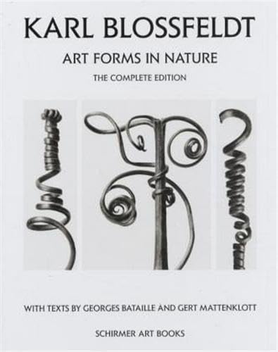 Art forms in nature Cover