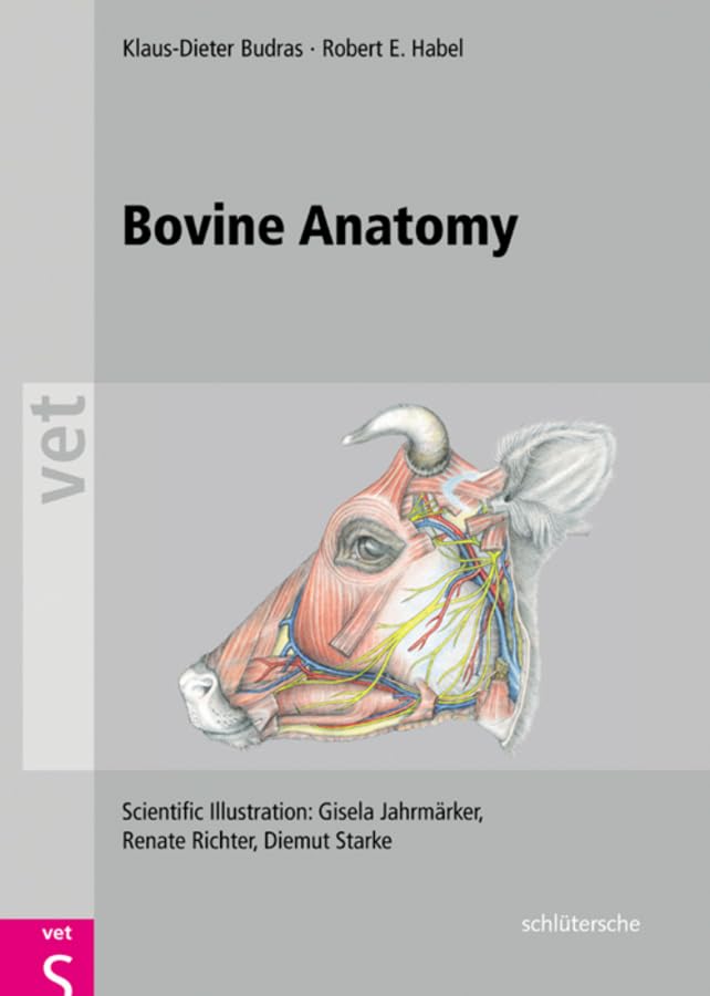 Bovine anatomy Cover