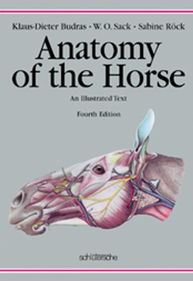 Anatomy of the horse Cover