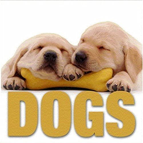 Dogs (MiniCube) Cover
