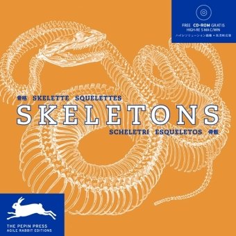 Skeletons Cover
