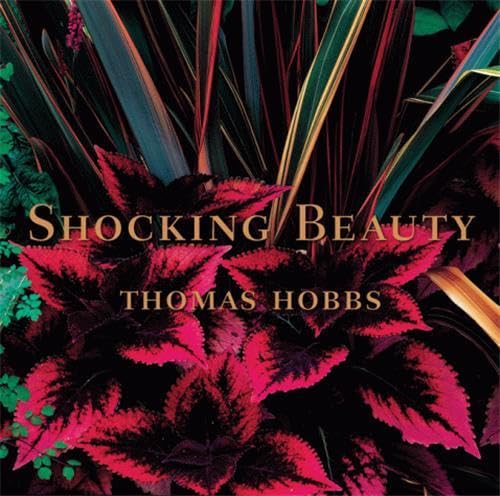 Shocking Beauty Cover