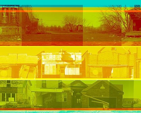 Urban ecology Cover