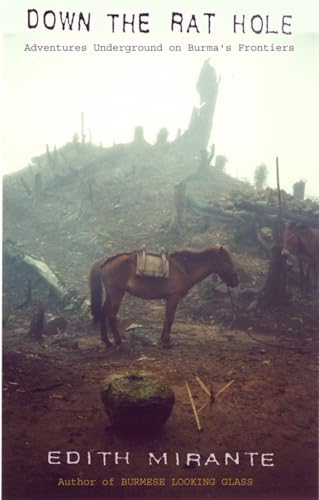 Attempted cover for Book ID: 9745240508