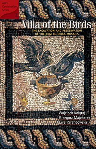Villa of the Birds Cover