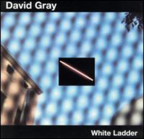 White Ladder Poster