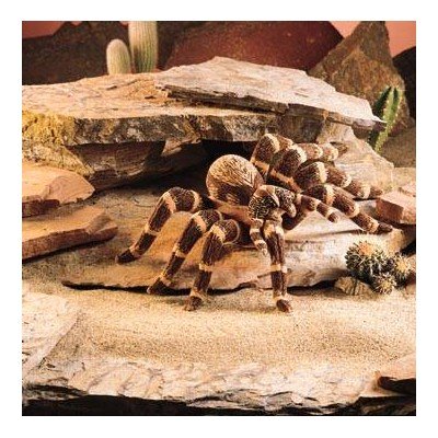 Attempted cover for Book ID: B0007QO8AU