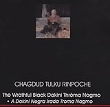 Book Cover for B000JCEVEU