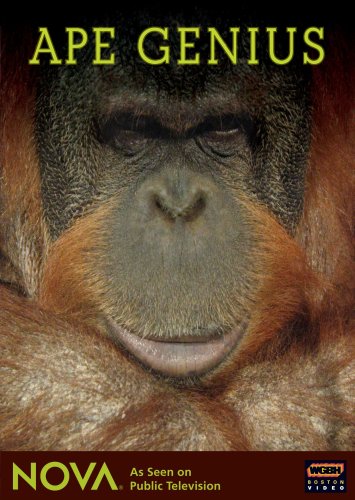 Attempted cover for Book ID: B0013XZ6GG