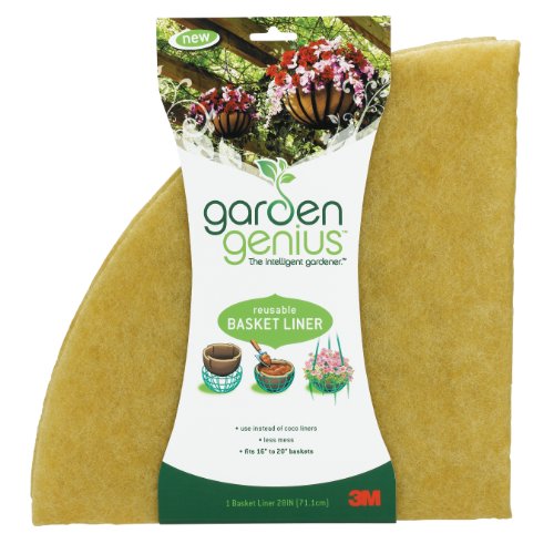 Attempted cover for Book ID: B003LWOSNY