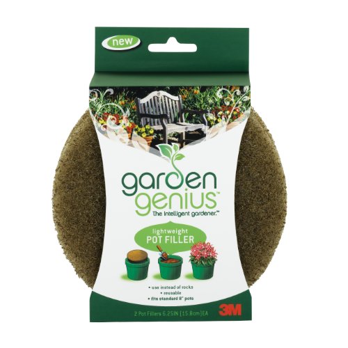 Attempted cover for Book ID: B003LWOT1K