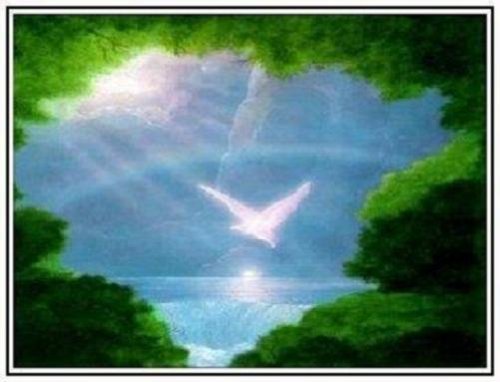 Attempted cover for Book ID: B00408ANLO