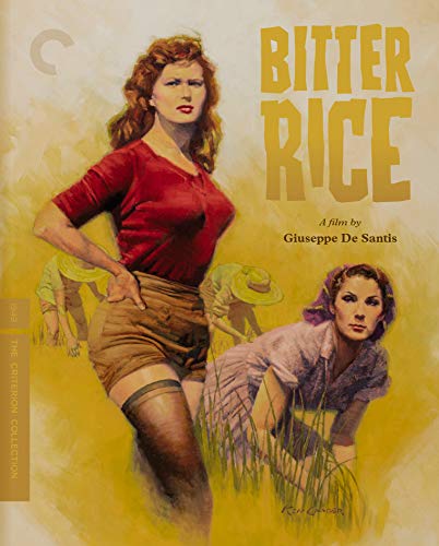 Attempted cover for Book ID: B016R7C3A4
