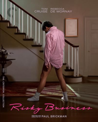 Attempted cover for Book ID: B0D1YLSCR5